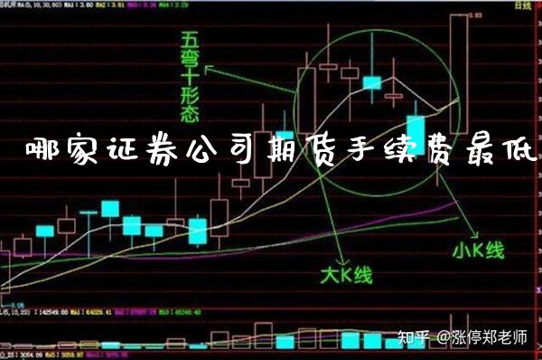 哪家证券公司期货手续费最低_黄金期货_第1张_期货投资网 哪家证券公司期货手续费最低_https://www.cqckcrrc.com_黄金期货_第1张