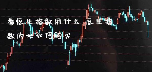 看恒生指数用什么 恒生指数内地如何购买_https://www.cqckcrrc.com_恒生指数_第1张