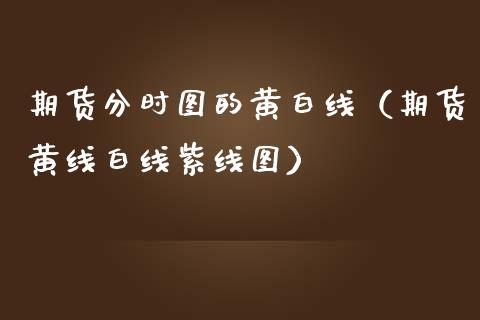 期货分时图的黄白线(期货黄线白线紫线图)_道指直播_第1张_期货投资网 期货分时图的黄白线(期货黄线白线紫线图)_https://www.cqckcrrc.com_道指直播_第1张