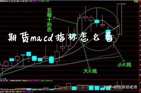 期货macd指标怎么看_道指直播_第1张_期货投资网 期货macd指标怎么看_https://www.cqckcrrc.com_道指直播_第1张