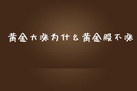 黄金大涨为什么黄金股不涨_黄金期货_第1张_期货投资网 黄金大涨为什么黄金股不涨_https://www.cqckcrrc.com_黄金期货_第1张