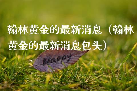 翰林黄金的最新消息（翰林黄金的最新消息包头）_https://www.cqckcrrc.com_恒生指数_第1张