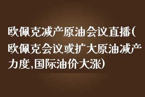 欧佩克减产原油会议直播(欧佩克会议或扩大原油减产力度,国际油价大涨)_原油期货_第1张_期货投资网 欧佩克减产原油会议直播(欧佩克会议或扩大原油减产力度,国际油价大涨)_https://www.cqckcrrc.com_原油期货_第1张