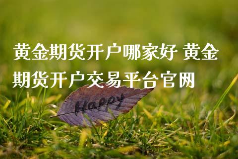 黄金期货开户哪家好 黄金期货开户交易平台官网_https://www.cqckcrrc.com_黄金期货_第1张