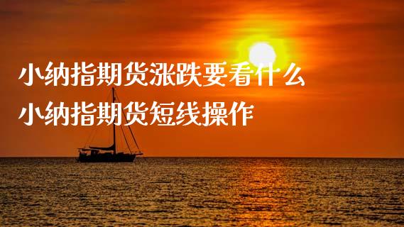 小纳指期货涨跌要看什么 小纳指期货短线操作_https://www.cqckcrrc.com_纳指直播_第1张