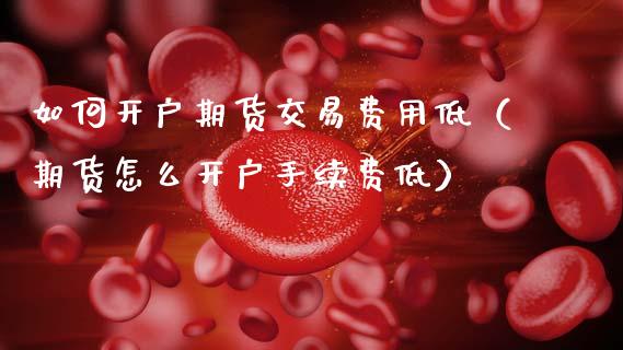 如何开户期货交易费用低（期货怎么开户手续费低）_https://www.cqckcrrc.com_道指直播_第1张