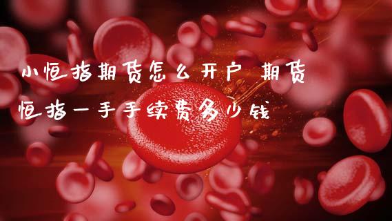 小恒指期货怎么开户 期货恒指一手手续费多少钱_纳指直播_第1张_期货投资网 小恒指期货怎么开户 期货恒指一手手续费多少钱_https://www.cqckcrrc.com_纳指直播_第1张