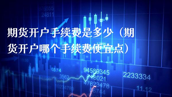 期货开户手续费是多少（期货开户哪个手续费便宜点）_https://www.cqckcrrc.com_原油期货_第1张