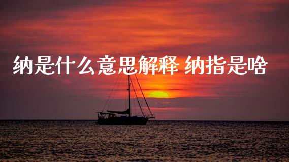 纳是什么意思解释 纳指是啥_https://www.cqckcrrc.com_纳指直播_第1张