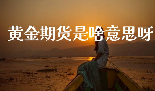黄金期货是啥意思呀_纳指直播_第1张_期货投资网 黄金期货是啥意思呀_https://www.cqckcrrc.com_纳指直播_第1张