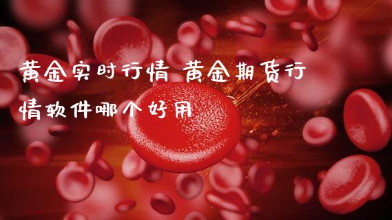 黄金实时行情 黄金期货行情软件哪个好用_https://www.cqckcrrc.com_黄金期货_第1张