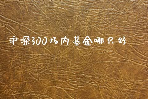 沪深300场内基金哪只好_道指直播_第1张_期货投资网 沪深300场内基金哪只好_https://www.cqckcrrc.com_道指直播_第1张
