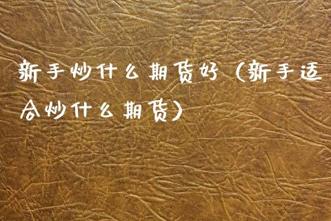 新手炒什么期货好（新手适合炒什么期货）_https://www.cqckcrrc.com_股票理财_第1张