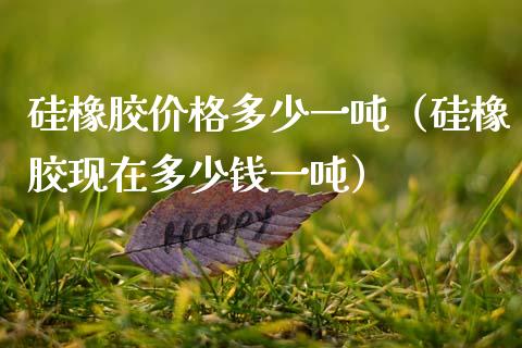 硅橡胶价格多少一吨（硅橡胶现在多少钱一吨）_https://www.cqckcrrc.com_原油期货_第1张