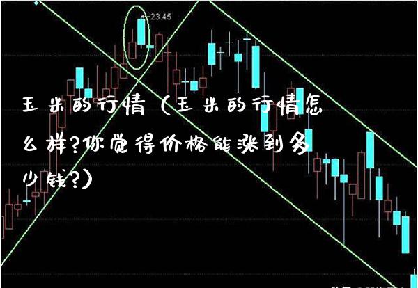 玉米的行情(玉米的行情怎么样?你觉得价格能涨到多少钱?)_恒生指数_第1张_期货投资网 玉米的行情(玉米的行情怎么样?你觉得价格能涨到多少钱?)_https://www.cqckcrrc.com_恒生指数_第1张