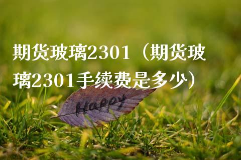 期货玻璃2301（期货玻璃2301手续费是多少）_https://www.cqckcrrc.com_理财百科_第1张
