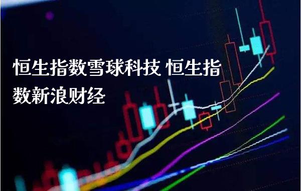 恒生指数雪球科技 恒生指数新浪财经_https://www.cqckcrrc.com_恒生指数_第1张