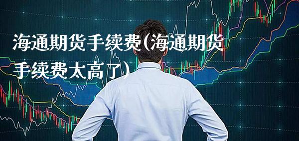 海通期货手续费(海通期货手续费太高了)_https://www.cqckcrrc.com_道指直播_第1张