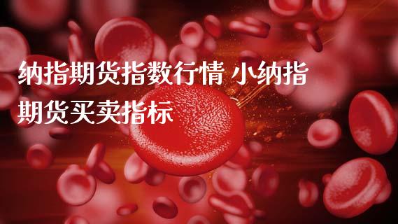 纳指期货指数行情 小纳指期货买卖指标_https://www.cqckcrrc.com_纳指直播_第1张