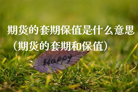 期货的套期保值是什么意思(期货的套期和保值)_道指直播_第1张_期货投资网 期货的套期保值是什么意思(期货的套期和保值)_https://www.cqckcrrc.com_道指直播_第1张