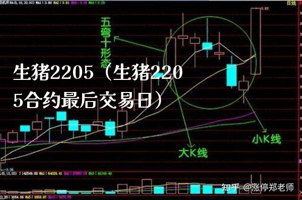 生猪2205（生猪2205合约最后交易日）_https://www.cqckcrrc.com_恒生指数_第1张