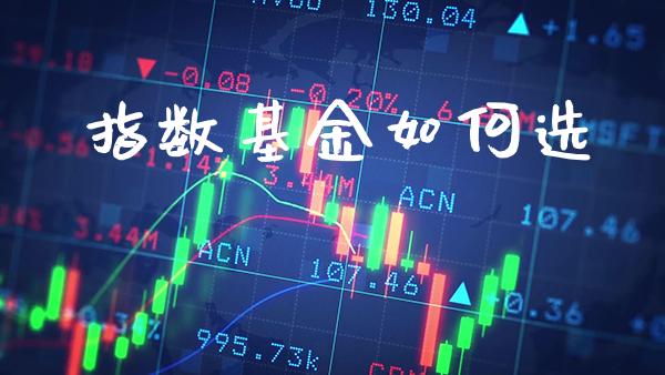 指数基金如何选_道指直播_第1张_期货投资网 指数基金如何选_https://www.cqckcrrc.com_道指直播_第1张