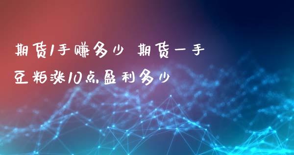 期货1手赚多少 期货一手豆粕涨10点盈利多少_https://www.cqckcrrc.com_道指直播_第1张
