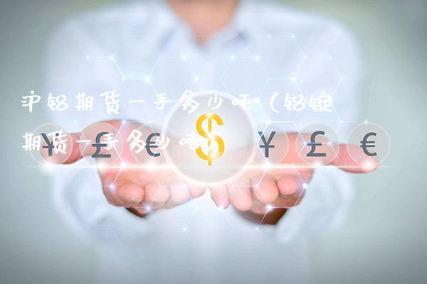沪铝期货一手多少吨（铝锭期货一手多少吨）_https://www.cqckcrrc.com_原油期货_第1张