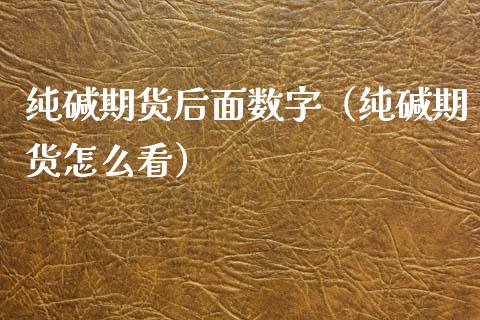 纯碱期货后面数字(纯碱期货怎么看)_股票理财_第1张_期货投资网 纯碱期货后面数字(纯碱期货怎么看)_https://www.cqckcrrc.com_股票理财_第1张