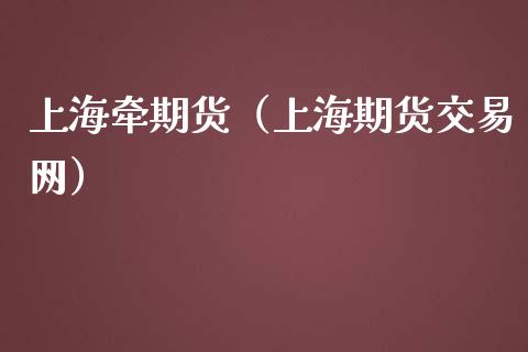 上海牵期货(上海期货交易网)_道指直播_第1张_期货投资网 上海牵期货(上海期货交易网)_https://www.cqckcrrc.com_道指直播_第1张