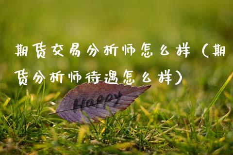 期货交易分析师怎么样(期货分析师待遇怎么样)_国际期货_第1张_期货投资网 期货交易分析师怎么样(期货分析师待遇怎么样)_https://www.cqckcrrc.com_国际期货_第1张