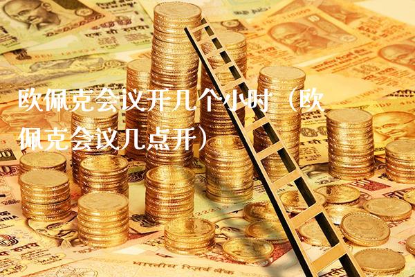 欧佩克会议开几个小时（欧佩克会议几点开）_https://www.cqckcrrc.com_道指直播_第1张