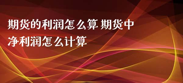 期货的利润怎么算 期货中净利润怎么计算_https://www.cqckcrrc.com_道指直播_第1张