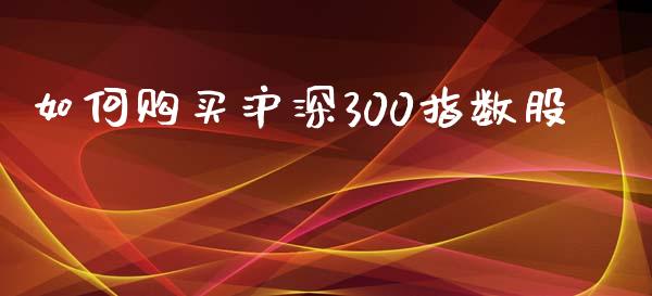 如何购买沪深300指数股_https://www.cqckcrrc.com_纳指直播_第1张