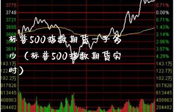 标普500指数期货一手多少（标普500指数期货实时）_https://www.cqckcrrc.com_纳指直播_第1张