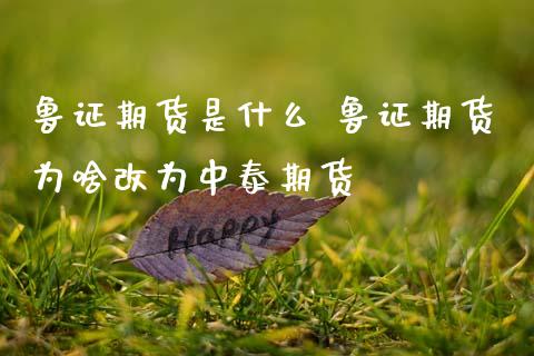 鲁证期货是什么 鲁证期货为啥改为中泰期货_原油期货_第1张_期货投资网 鲁证期货是什么 鲁证期货为啥改为中泰期货_https://www.cqckcrrc.com_原油期货_第1张