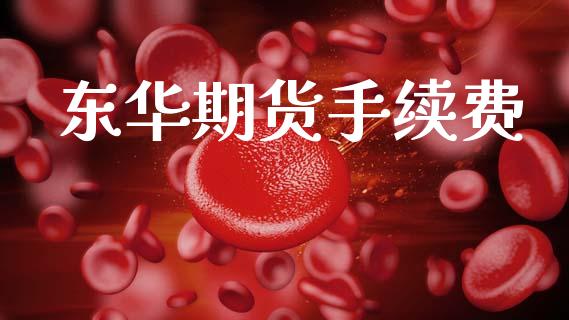 东华期货手续费_黄金期货_第1张_期货投资网 东华期货手续费_https://www.cqckcrrc.com_黄金期货_第1张