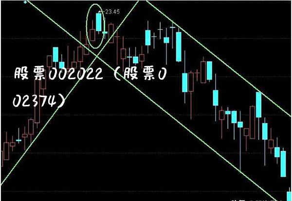 股票002022(股票002374)_股票理财_第1张_期货投资网 股票002022(股票002374)_https://www.cqckcrrc.com_股票理财_第1张