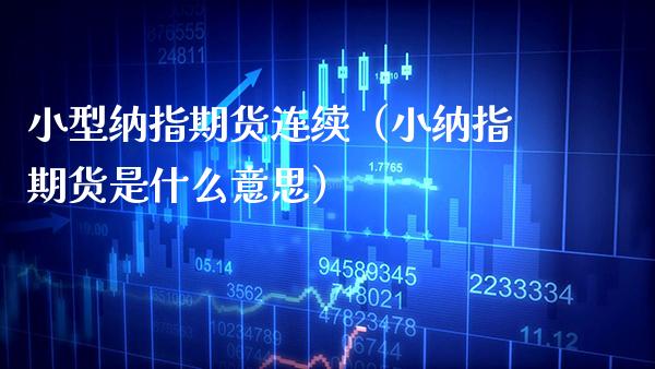 小型纳指期货连续（小纳指期货是什么意思）_https://www.cqckcrrc.com_恒生指数_第1张