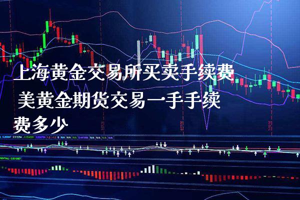 上海黄金交易所买卖手续费 美黄金期货交易一手手续费多少_https://www.cqckcrrc.com_黄金期货_第1张