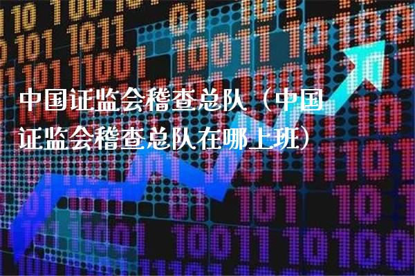 中国***稽查总队（中国***稽查总队在哪上班）_https://www.cqckcrrc.com_道指直播_第1张