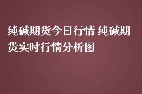 纯碱期货今日行情 纯碱期货实时行情分析图_道指直播_第1张_期货投资网 纯碱期货今日行情 纯碱期货实时行情分析图_https://www.cqckcrrc.com_道指直播_第1张