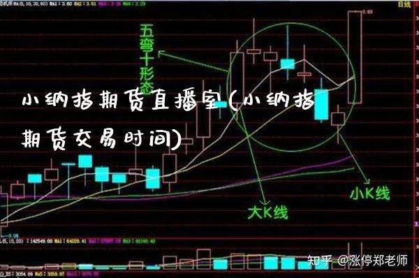 小纳指期货直播室(小纳指期货交易时间)_https://www.cqckcrrc.com_原油期货_第1张