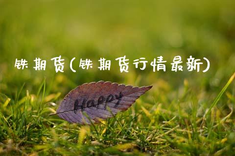 铁期货(铁期货行情最新)_https://www.cqckcrrc.com_恒指期货_第1张