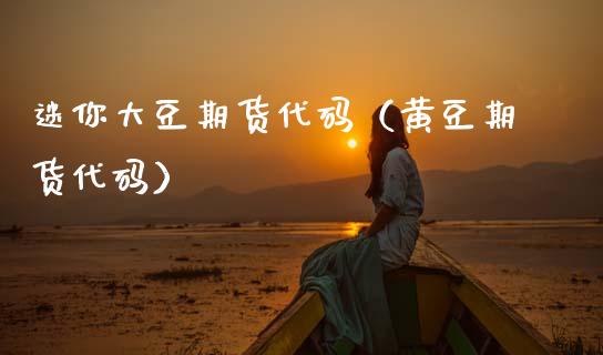 迷你大豆期货代码（黄豆期货代码）_https://www.cqckcrrc.com_股票理财_第1张