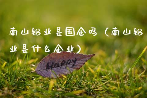 南山铝业是国企吗(南山铝业是什么企业)_黄金期货_第1张_期货投资网 南山铝业是国企吗(南山铝业是什么企业)_https://www.cqckcrrc.com_黄金期货_第1张