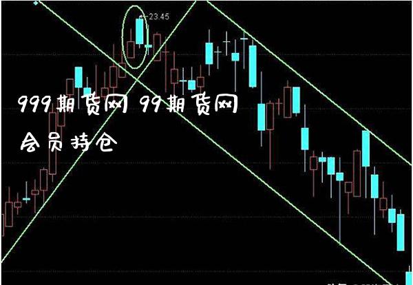 999期货网 99期货网会员持仓_黄金期货_第1张_期货投资网 999期货网 99期货网会员持仓_https://www.cqckcrrc.com_黄金期货_第1张
