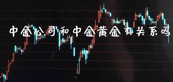 中金公司和中金黄金有关系吗_恒生指数_第1张_期货投资网 中金公司和中金黄金有关系吗_https://www.cqckcrrc.com_恒生指数_第1张