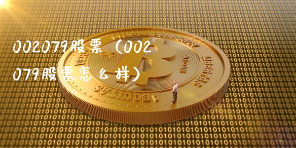 002079股票(002079股票怎么样)_股票理财_第1张_期货投资网 002079股票(002079股票怎么样)_https://www.cqckcrrc.com_股票理财_第1张