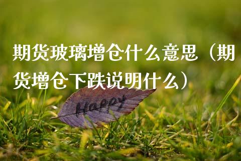 期货玻璃增仓什么意思（期货增仓下跌说明什么）_https://www.cqckcrrc.com_道指直播_第1张